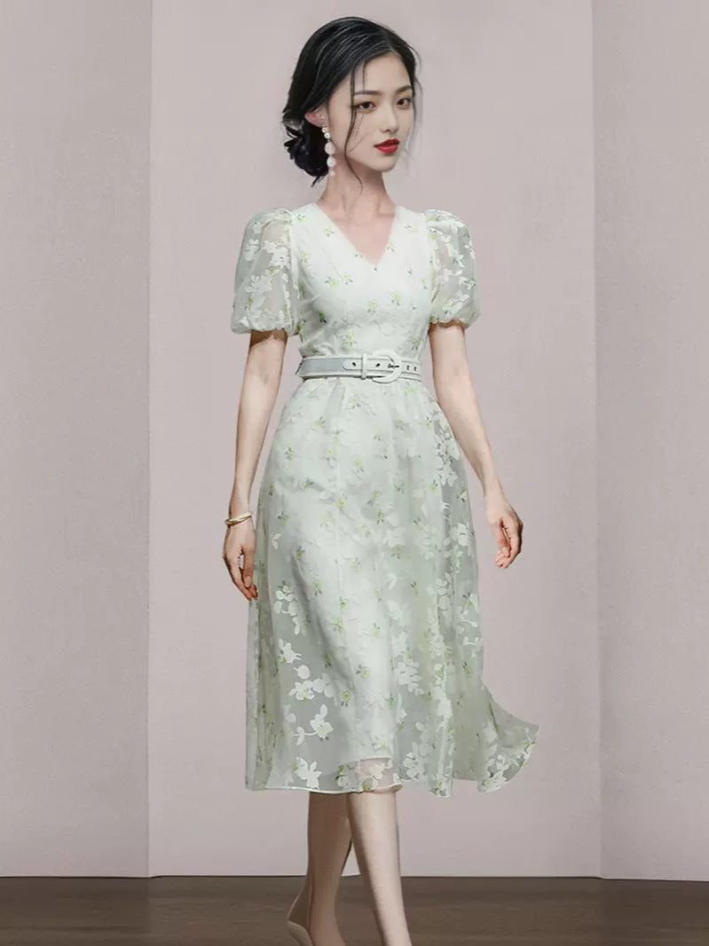 European & American Stylish Dress